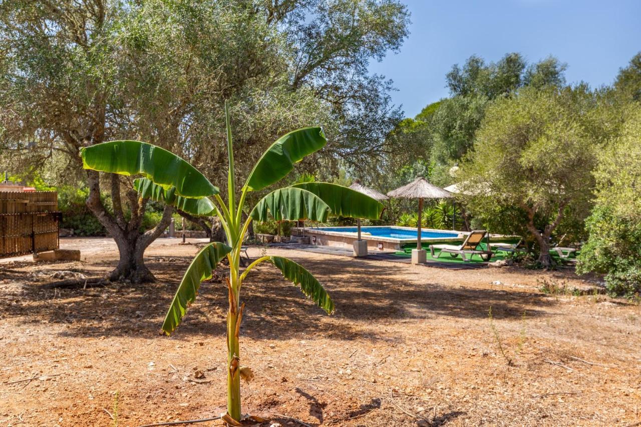 Sa Torreta Holiday home